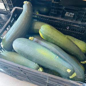 
                  
                    Charger l&amp;#39;image dans la galerie, Zucchini
                  
                