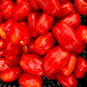 
                  
                    Charger l&amp;#39;image dans la galerie, Tomate italienne San Marzano
                  
                