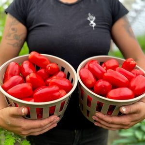 
                  
                    Charger l&amp;#39;image dans la galerie, Tomate italienne San Marzano
                  
                