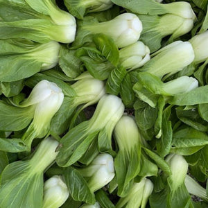 
                  
                    Charger l&amp;#39;image dans la galerie, Bok choy
                  
                